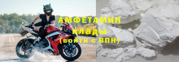 твердый Арсеньев