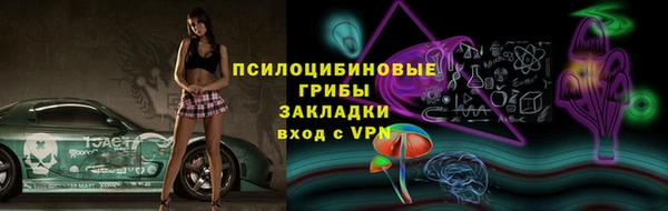 твердый Арсеньев