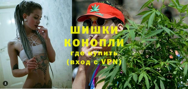 твердый Арсеньев