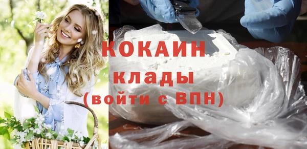 твердый Арсеньев