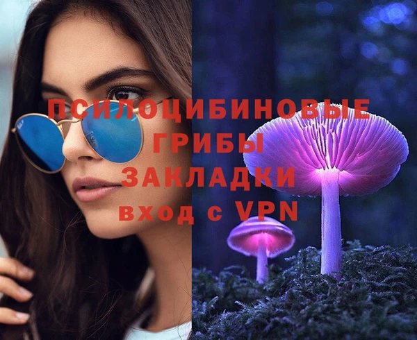 a pvp Аркадак