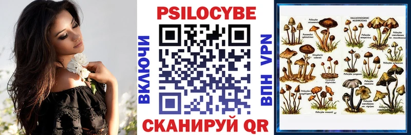Галлюциногенные грибы GOLDEN TEACHER  Мытищи 